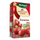 Tea Garden, Cranberry - fruit and herbal tea, 50 g (20 sachets x 2,5 g)