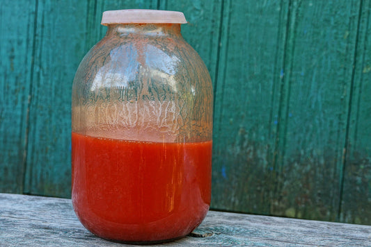The Ultimate Homemade Tomato Juice Recipe (Fresh & Easy)